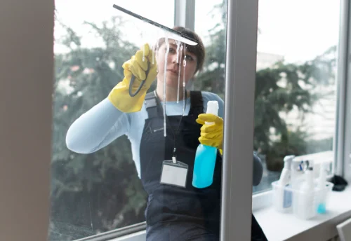 Nettoyage de vitres intérieures et extérieures à Andance